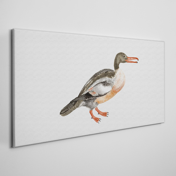 Tableau toile imprimée Un canard sur un fond de toile blanche