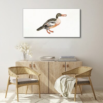 Tableau toile imprimée Un canard sur un fond de toile blanche