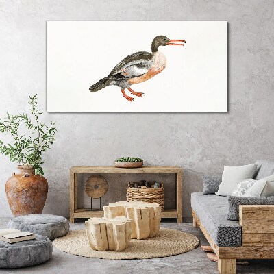 Tableau toile imprimée Un canard sur un fond de toile blanche