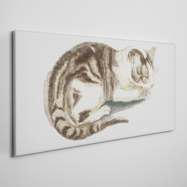 Tableau imprimé sur toile Chat endormi sur fond blanc