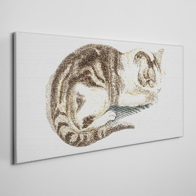 Tableau imprimé sur toile Chat endormi sur fond blanc