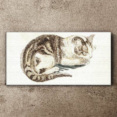 Tableau imprimé sur toile Chat endormi sur fond blanc