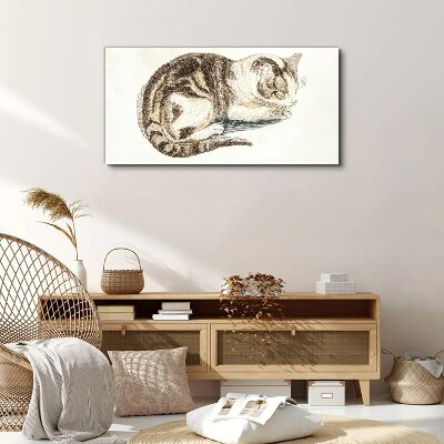 Tableau imprimé sur toile Chat endormi sur fond blanc