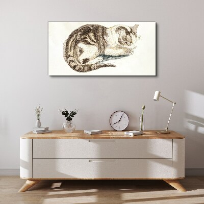 Tableau imprimé sur toile Chat endormi sur fond blanc