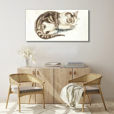 Tableau imprimé sur toile Chat endormi sur fond blanc