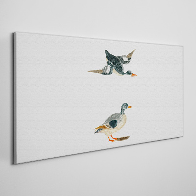 Tableau imprimé sur toile Oiseaux aquatiques en vol et au sol