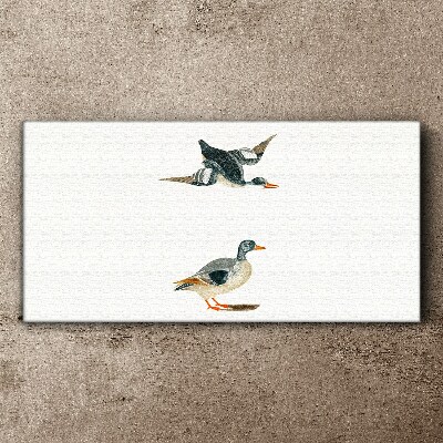 Tableau imprimé sur toile Oiseaux aquatiques en vol et au sol