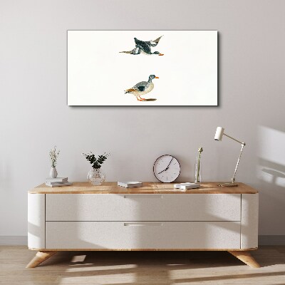 Tableau imprimé sur toile Oiseaux aquatiques en vol et au sol