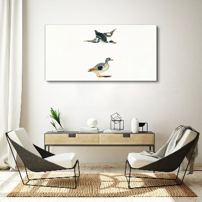 Tableau imprimé sur toile Oiseaux aquatiques en vol et au sol