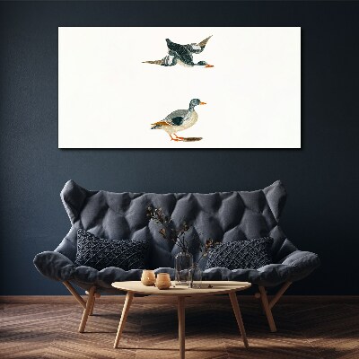 Tableau imprimé sur toile Oiseaux aquatiques en vol et au sol