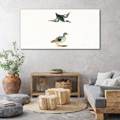 Tableau imprimé sur toile Oiseaux aquatiques en vol et au sol