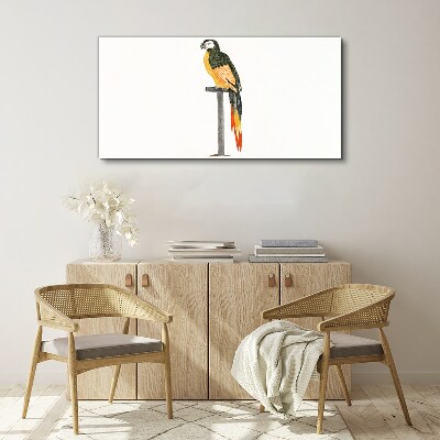 Tableau toile imprimée Un perroquet contre un mur blanc