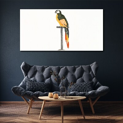 Tableau toile imprimée Un perroquet contre un mur blanc