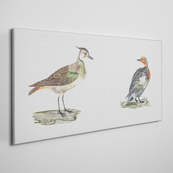 Tableau toile imprimée Oiseaux colorés sur fond blanc