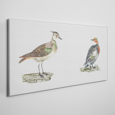 Tableau toile imprimée Oiseaux colorés sur fond blanc