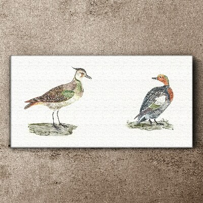 Tableau toile imprimée Oiseaux colorés sur fond blanc