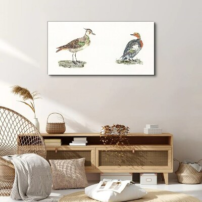 Tableau toile imprimée Oiseaux colorés sur fond blanc