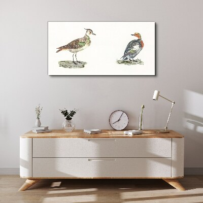 Tableau toile imprimée Oiseaux colorés sur fond blanc