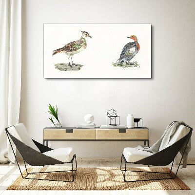 Tableau toile imprimée Oiseaux colorés sur fond blanc