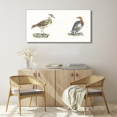 Tableau toile imprimée Oiseaux colorés sur fond blanc