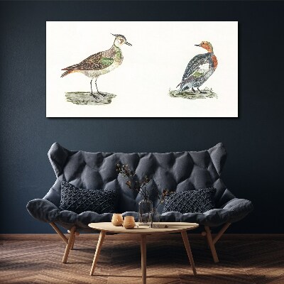 Tableau toile imprimée Oiseaux colorés sur fond blanc