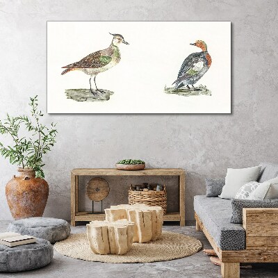 Tableau toile imprimée Oiseaux colorés sur fond blanc