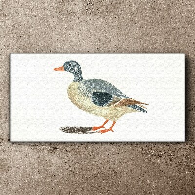 Tableau imprimé sur toile Canard aux tons pastel