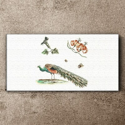 Tableau imprimé sur toile Paon parmi les fleurs et les insectes