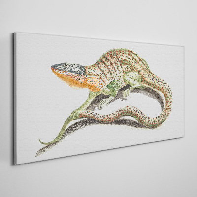 Tableau toile imprimée Un lézard coloré en mouvement