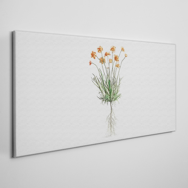 Tableau imprimé sur toile Fleurs avec racines