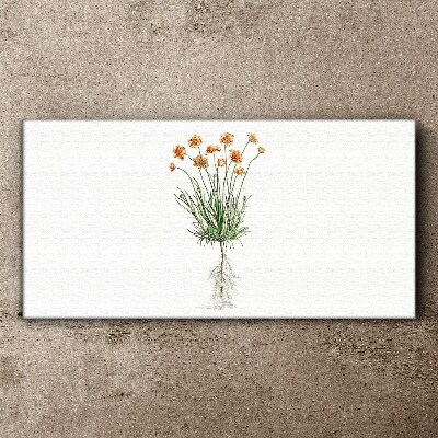 Tableau imprimé sur toile Fleurs avec racines