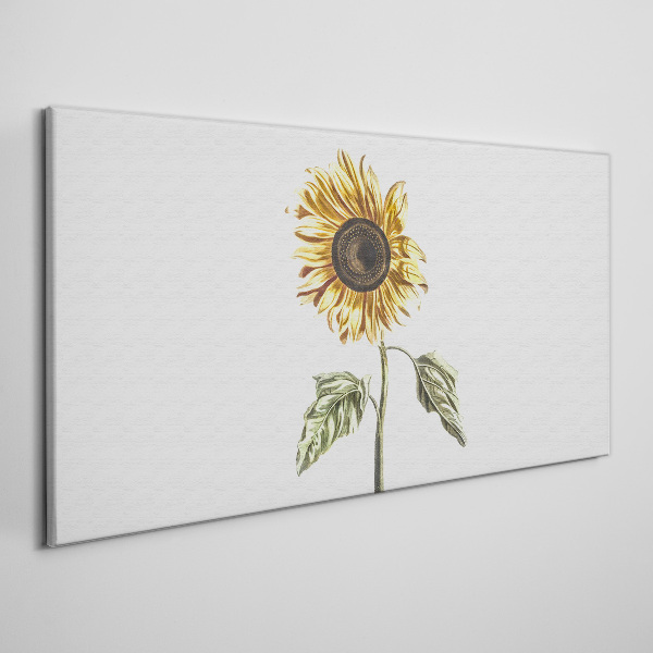 Tableau toile imprimée Fleur de tournesol sur fond blanc