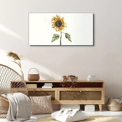 Tableau toile imprimée Fleur de tournesol sur fond blanc