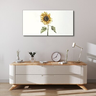 Tableau toile imprimée Fleur de tournesol sur fond blanc