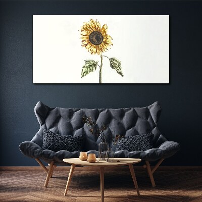 Tableau toile imprimée Fleur de tournesol sur fond blanc
