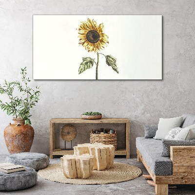 Tableau toile imprimée Fleur de tournesol sur fond blanc