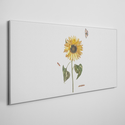 Tableau toile imprimée Tournesol dans une composition délicate