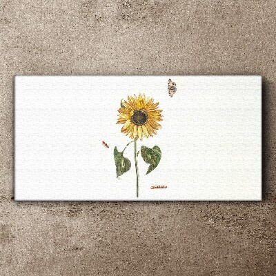 Tableau toile imprimée Tournesol dans une composition délicate