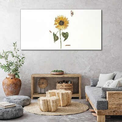 Tableau toile imprimée Tournesol dans une composition délicate