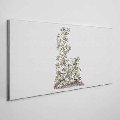 Tableau imprimé sur toile Plantes dans une lumière douce
