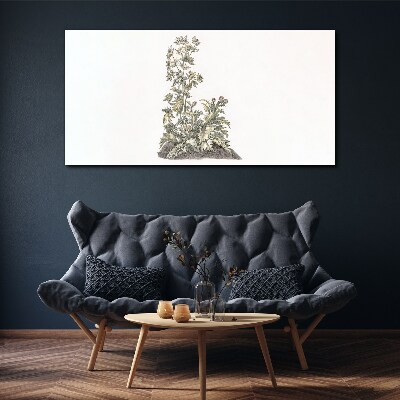 Tableau imprimé sur toile Plantes dans une lumière douce