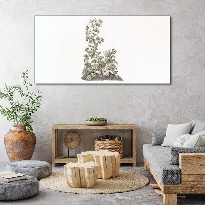 Tableau imprimé sur toile Plantes dans une lumière douce