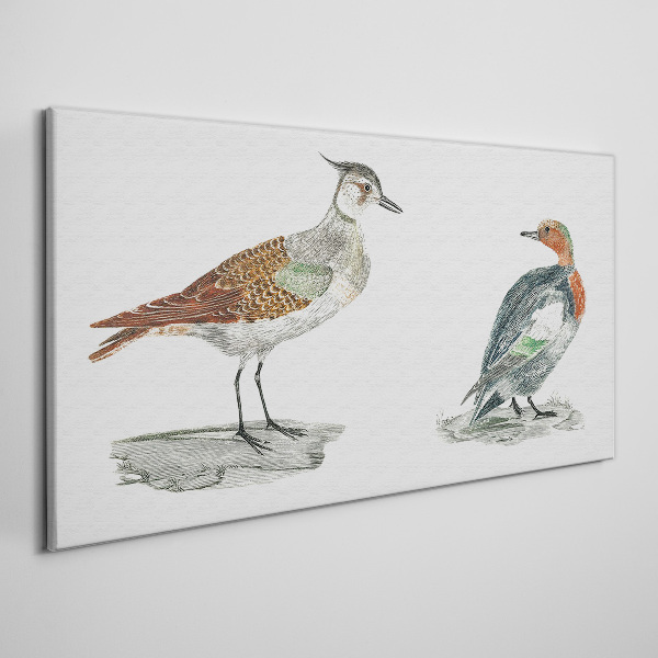 Tableau imprimé sur toile Oiseaux aux couleurs de la nature