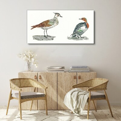 Tableau imprimé sur toile Oiseaux aux couleurs de la nature