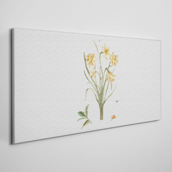 Tableau sur toile Fleurs de jonquille avec un motif naturel