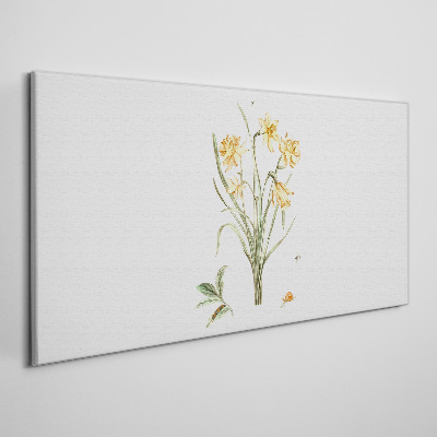 Tableau sur toile Fleurs de jonquille avec un motif naturel