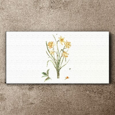 Tableau sur toile Fleurs de jonquille avec un motif naturel