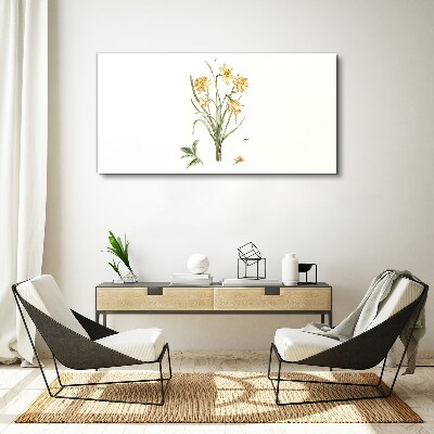 Tableau sur toile Fleurs de jonquille avec un motif naturel