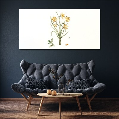 Tableau sur toile Fleurs de jonquille avec un motif naturel