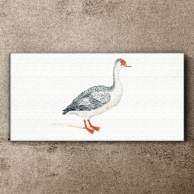 Tableau sur toile Oie aux nuances délicates
